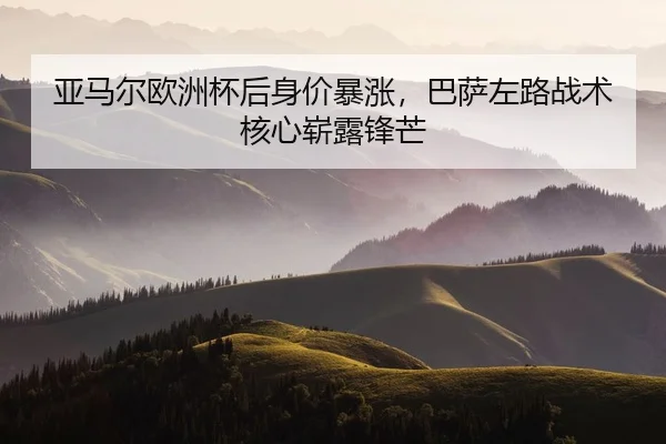 ya-ma-er-ou-zhou-bei-hou-shen-jia-bao-zhang-ba-sa-zuo-lu-zhan-shu-he-xin-zhan-lu-feng-mang-2-781.jpg