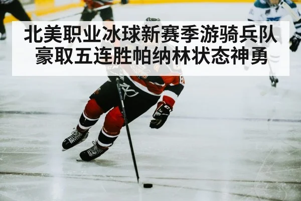 ice hockey player skating